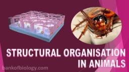 Ch 7- structural organisation in  - 11th Biology - Notes -  Teachmint