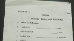 Animals Living and Surviving - Science - Assignment - Teachmint