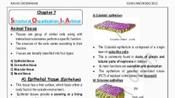 ch 7 ( structural organization in animals).pdf - Biology - Notes - Teachmint