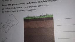 soil science assignment topics