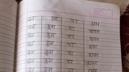 assignment in hindi