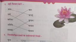 homework notes in hindi