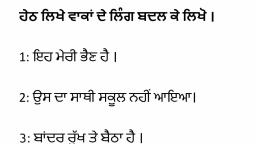 homework meaning punjabi