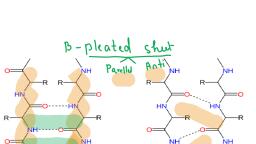 Difference-Between-Alpha-Helix-and-Beta-Pleated-Sheet-image-02.png ...