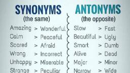 Synonyms - Maths - Notes - Teachmint