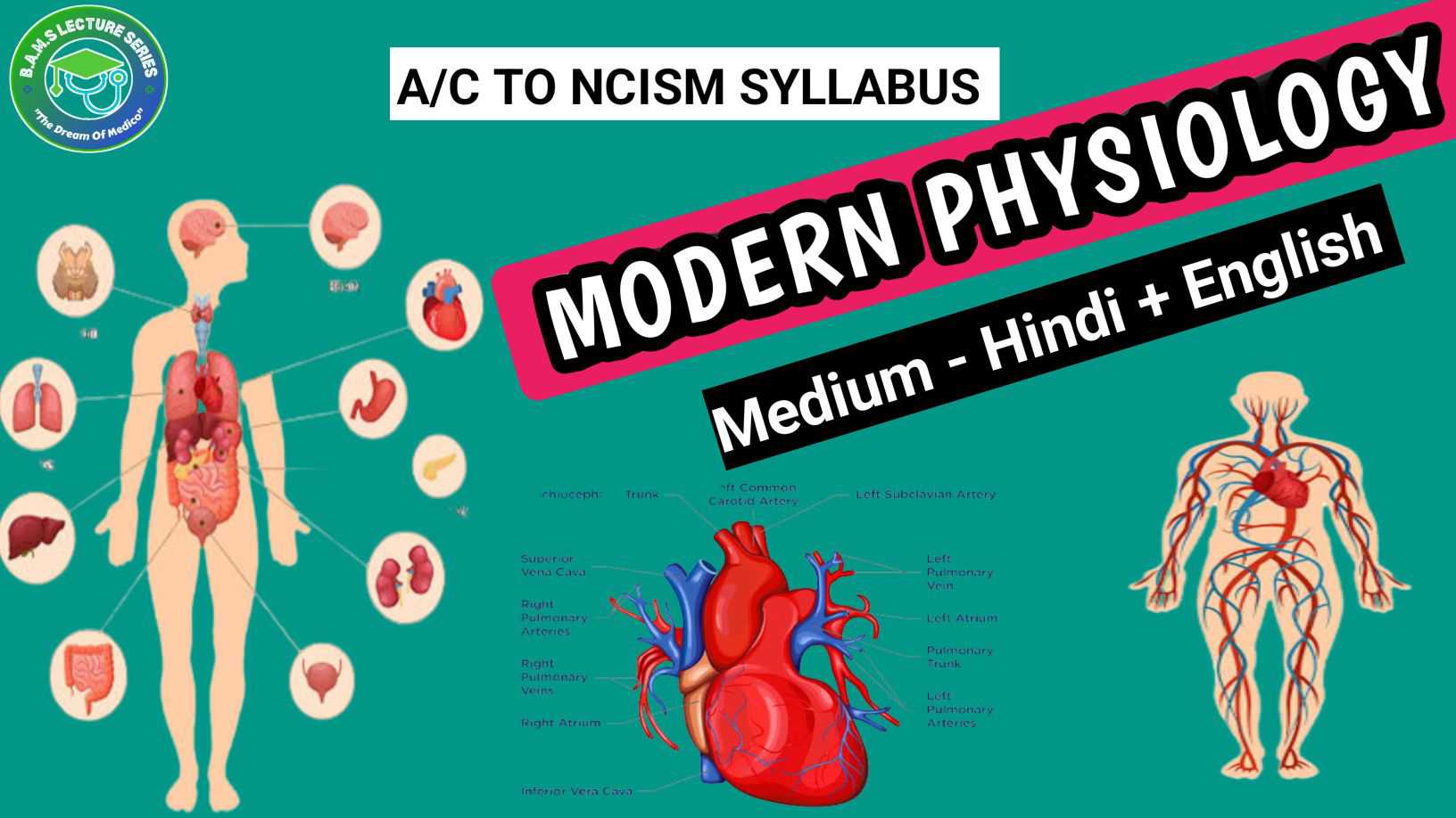 Modern Physiology 2 Amit Physiology Notes Teachmint