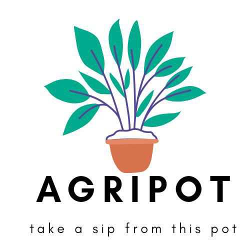 Agripot; Online Classes; Teach Online; Online Teaching; Virtual Classroom