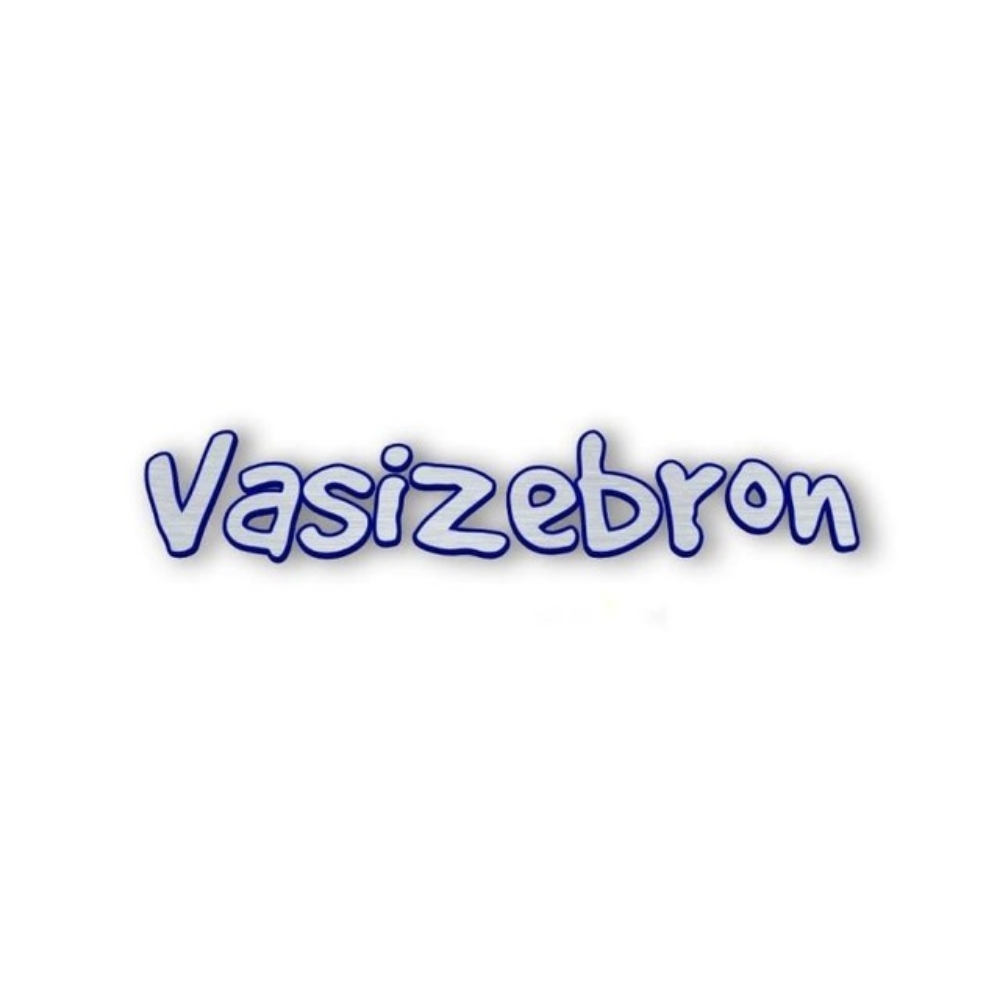 Vasizebron Tech; Online Classes; Teach Online; Online Teaching; Virtual Classroom