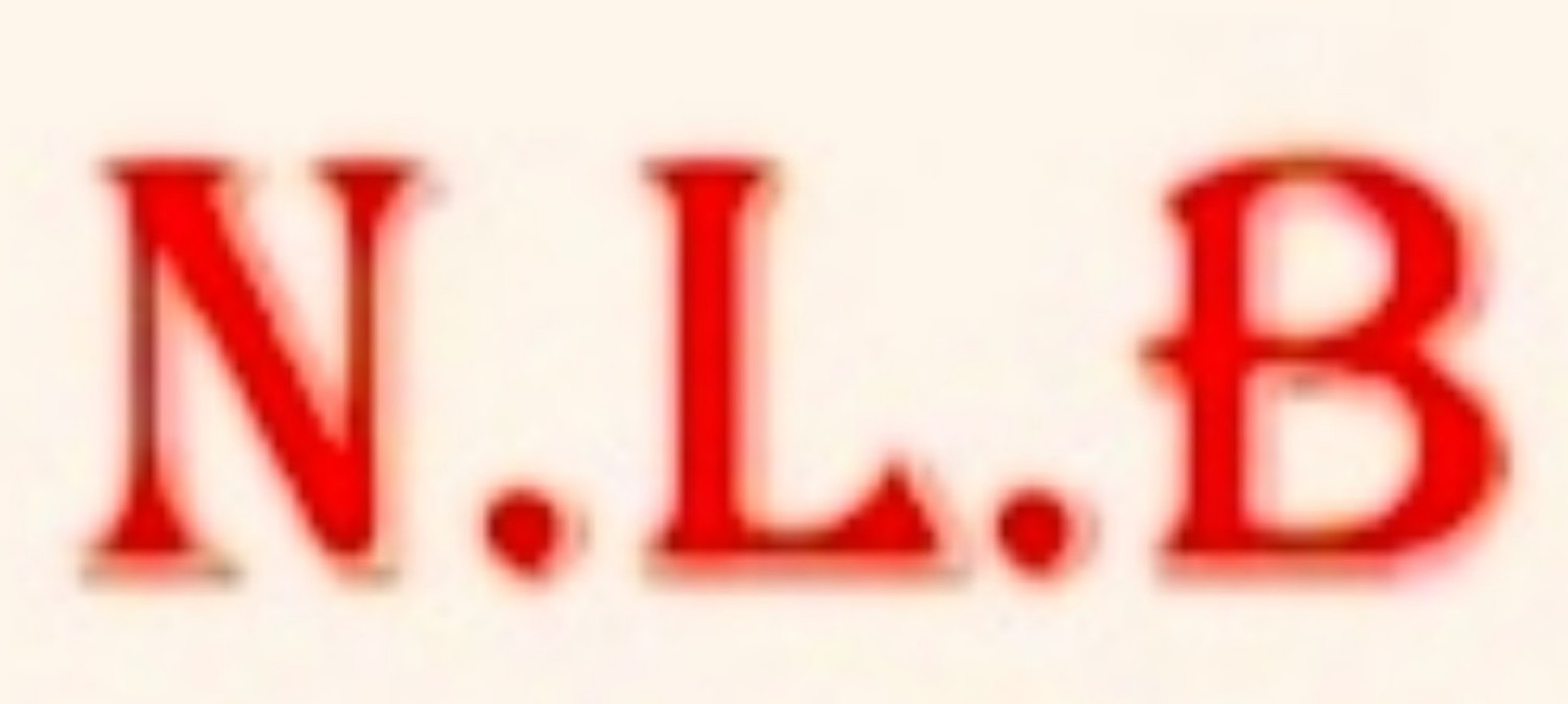 N.L.B STUDY INSTITUTE; Online Classes; Teach Online; Online Teaching; Virtual Classroom