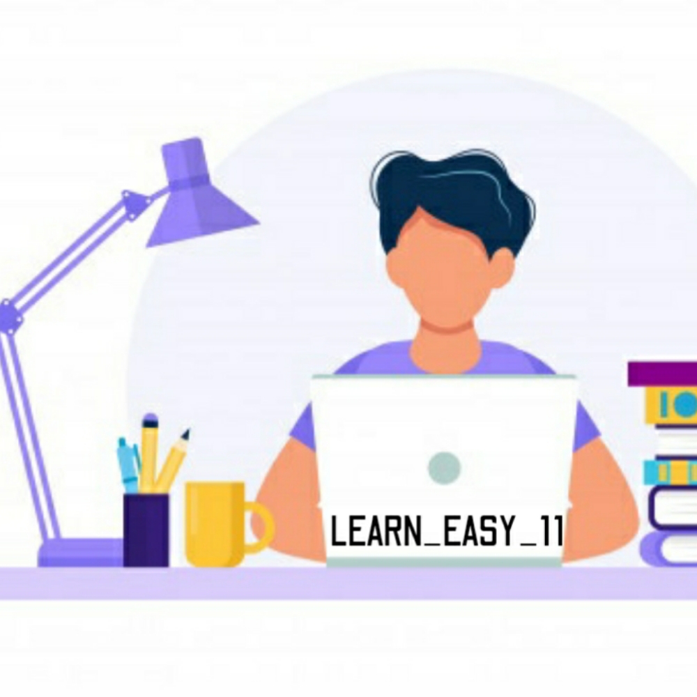 LEARN EASY 11; Online Classes; Teach Online; Online Teaching; Virtual Classroom