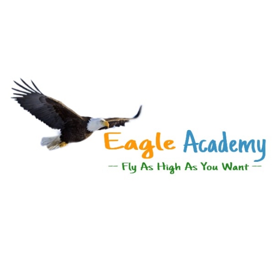 Eagle Academy; Online Classes; Teach Online; Online Teaching; Virtual Classroom