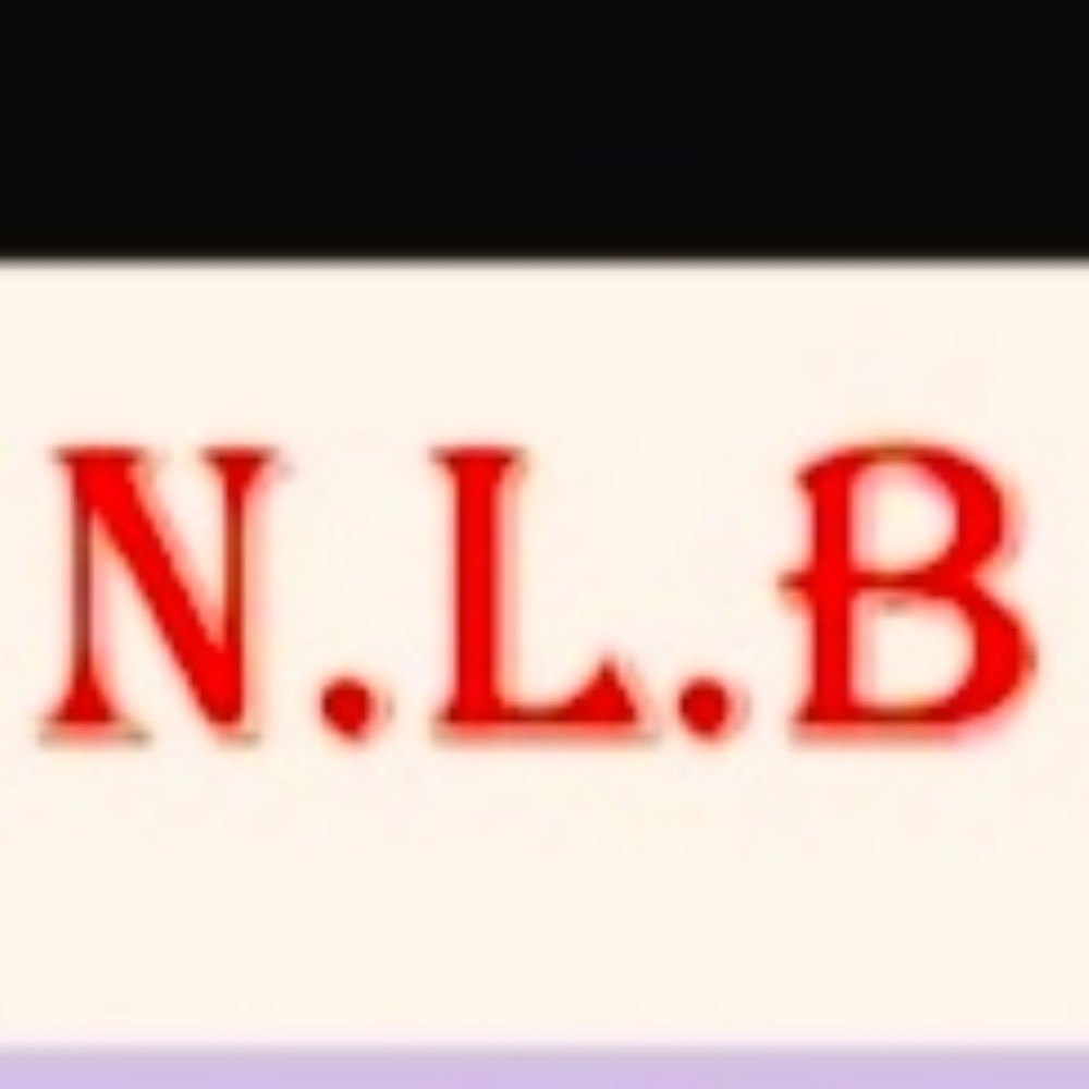 N.L.B STUDY INSTITUTE; Online Classes; Teach Online; Online Teaching; Virtual Classroom