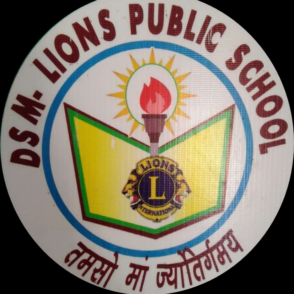 d-s-m-lions-public-school-teachmint