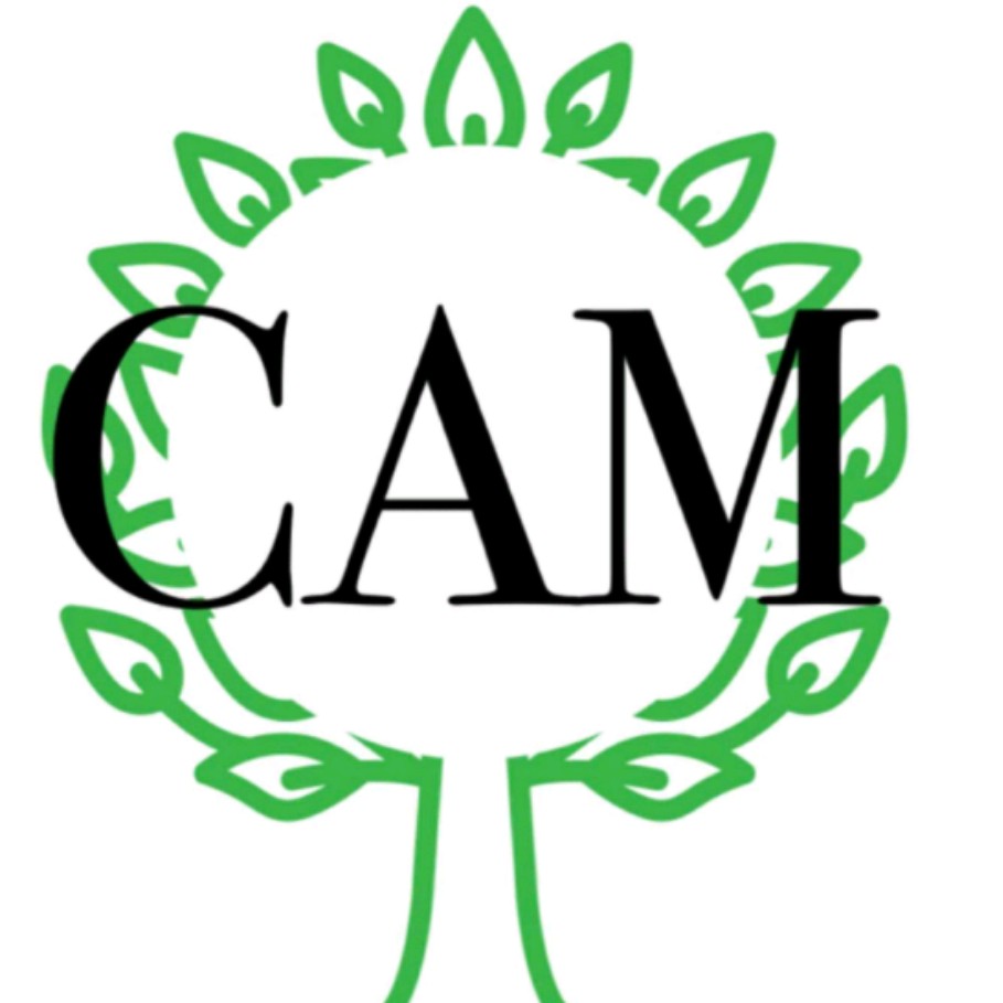 CAM Academy; Online Classes; Teach Online; Online Teaching; Virtual Classroom