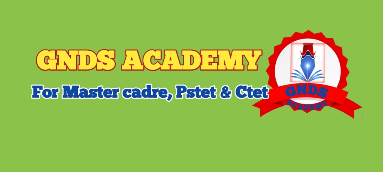 GNDS ACADEMY; Online Classes; Teach Online; Online Teaching; Virtual Classroom