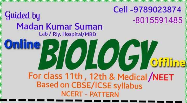 Concept of Biology⚕; Online Classes; Teach Online; Online Teaching; Virtual Classroom