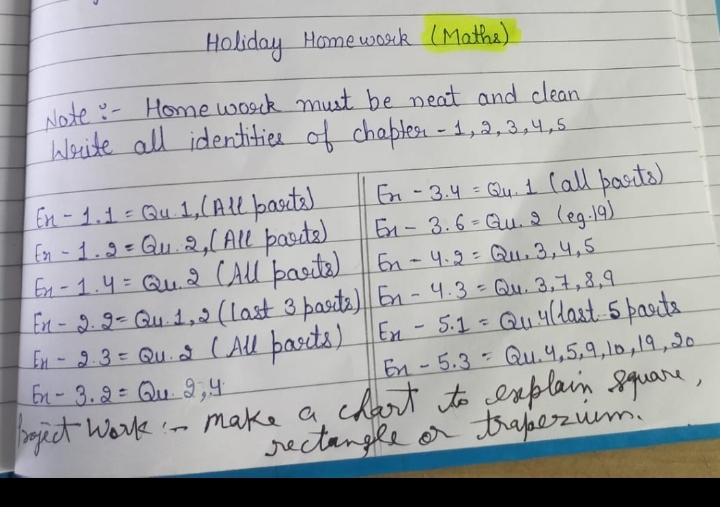 maths holiday homework class 6