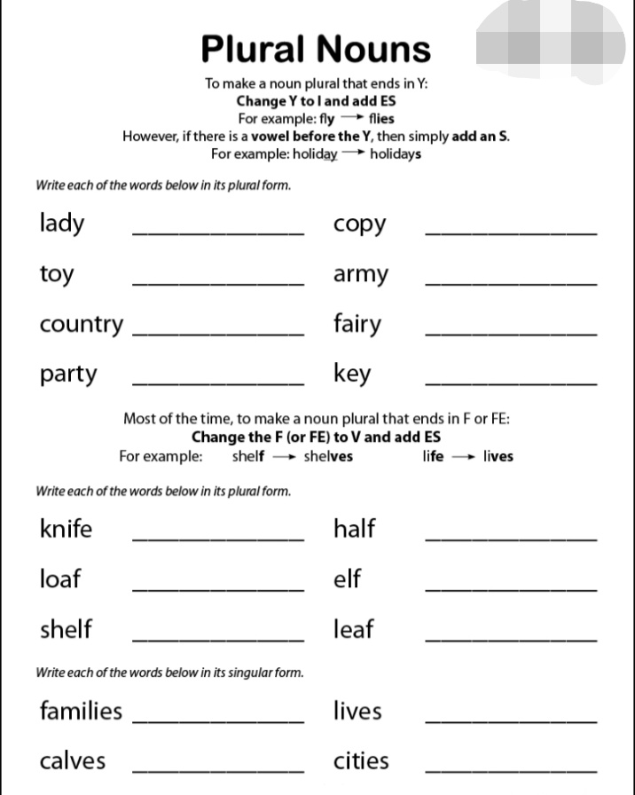 Singular Plural Nouns English Notes Teachmint