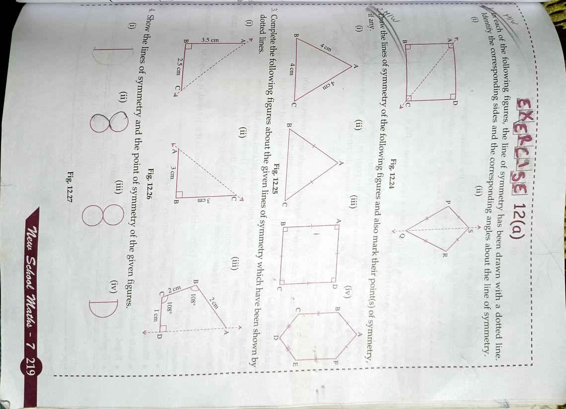 symmetry assignment edgenuity