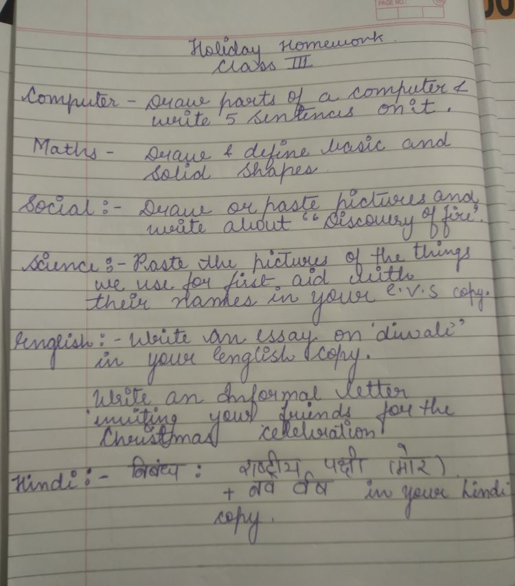 holiday homework class 8 hindi