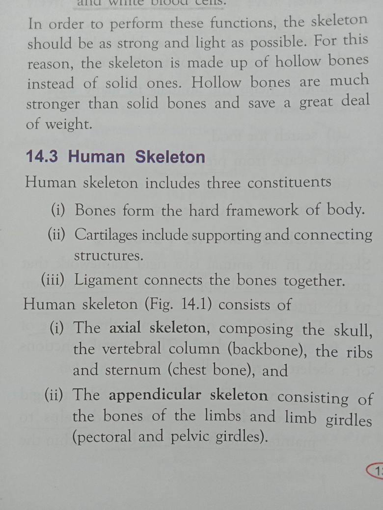 Skeleton Movement And Locomotion Biology Assignment Teachmint