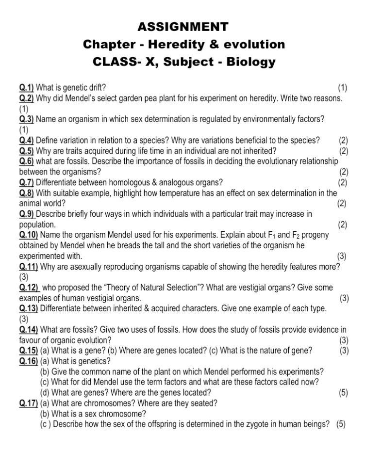 random assignment biology