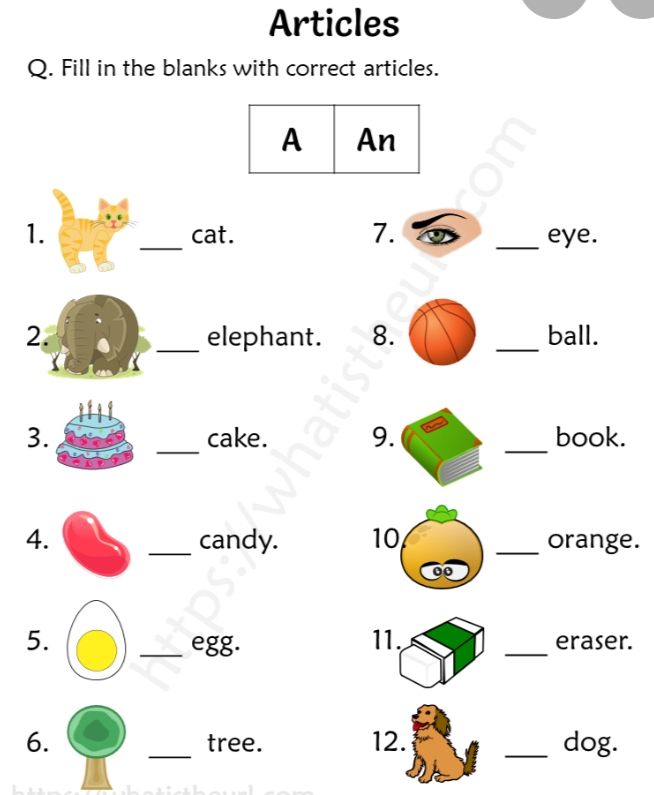 Use Of A And An - English - Assignment - Teachmint