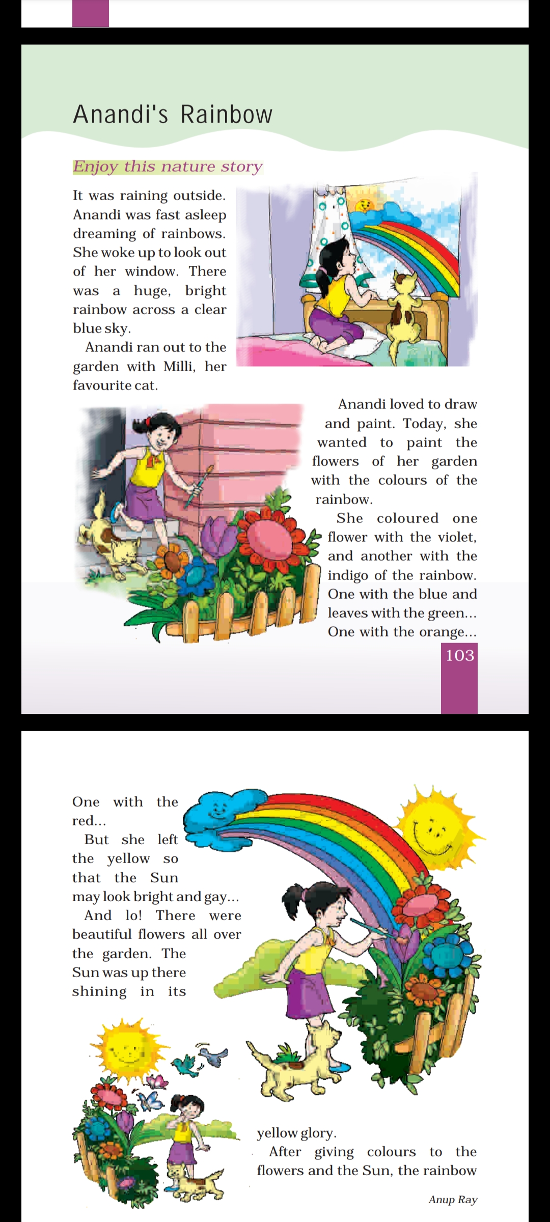 Anandi's Rainbow - English - Notes - Teachmint