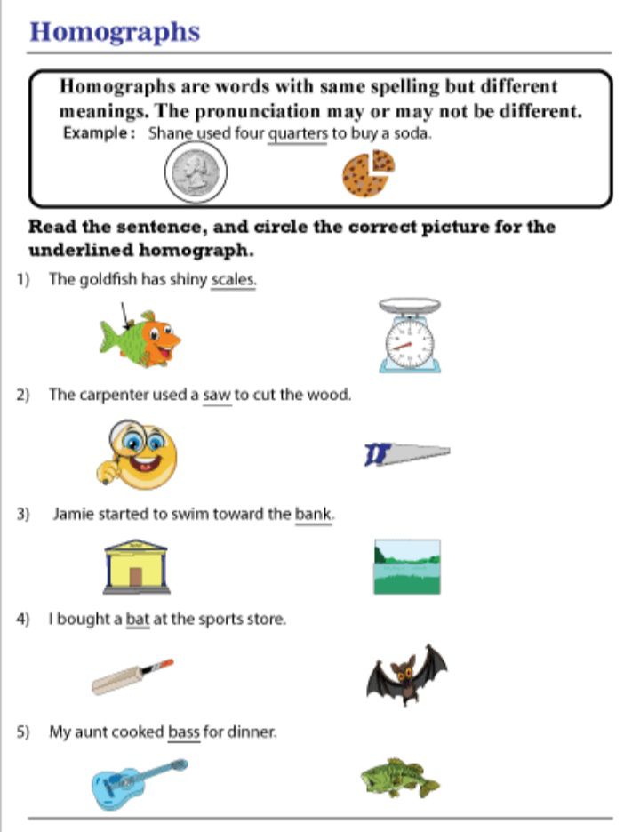 Homograph English Assignment Teachmint homograph-english-assignment-teachmint