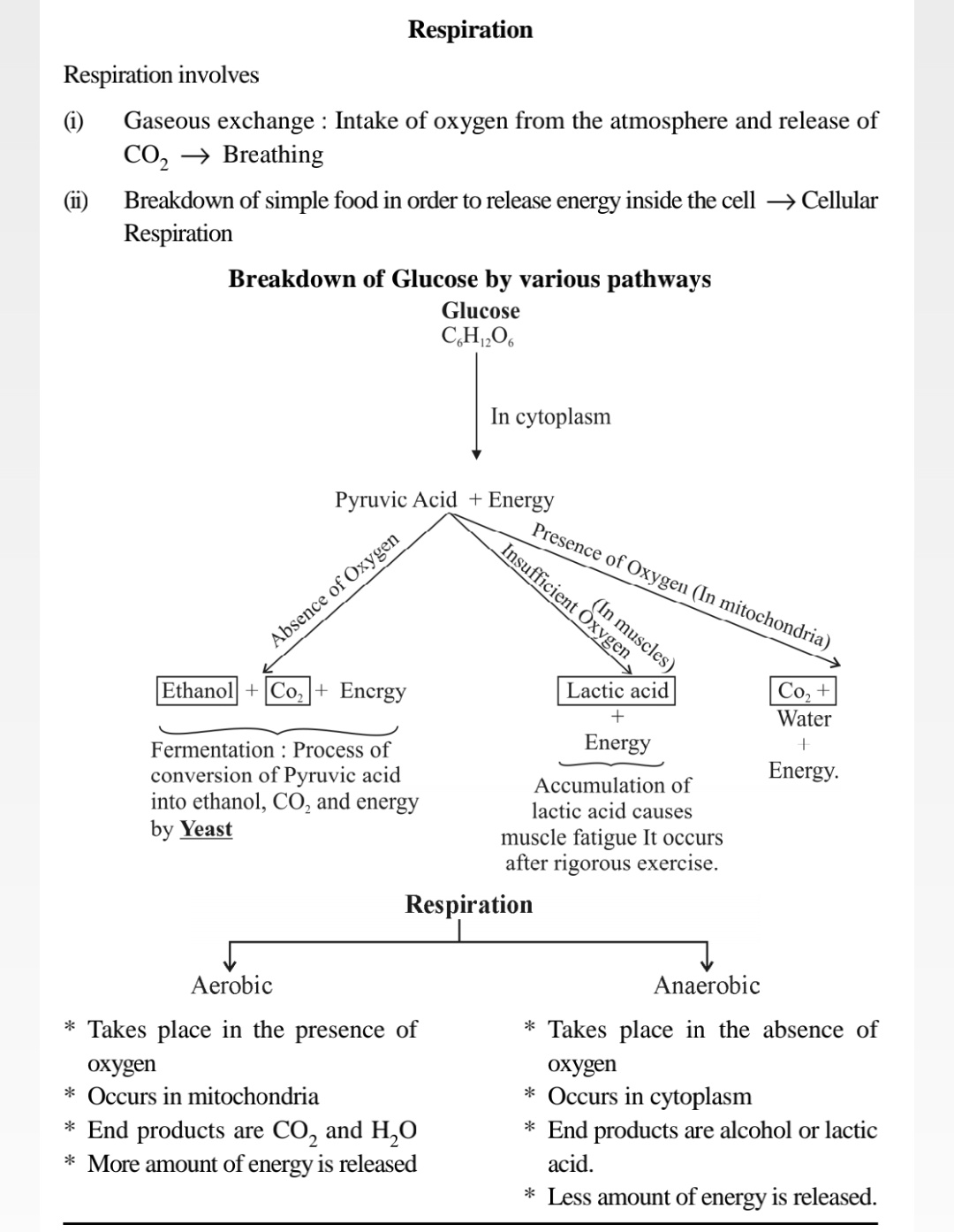 Life Process Note 6 Science Notes Teachmint