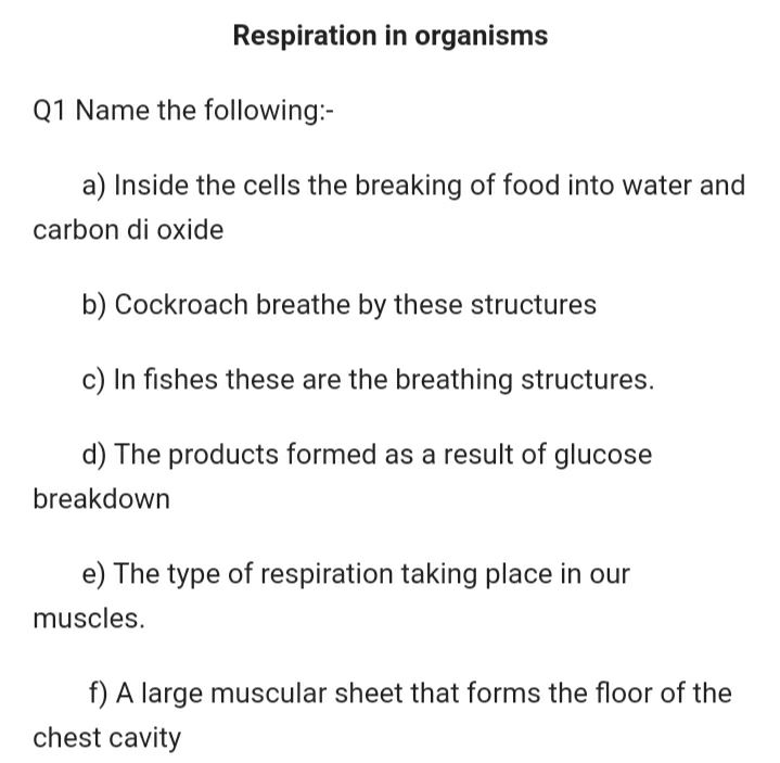 Respiration Chapter 10 - Chemistry - Assignment - Teachmint