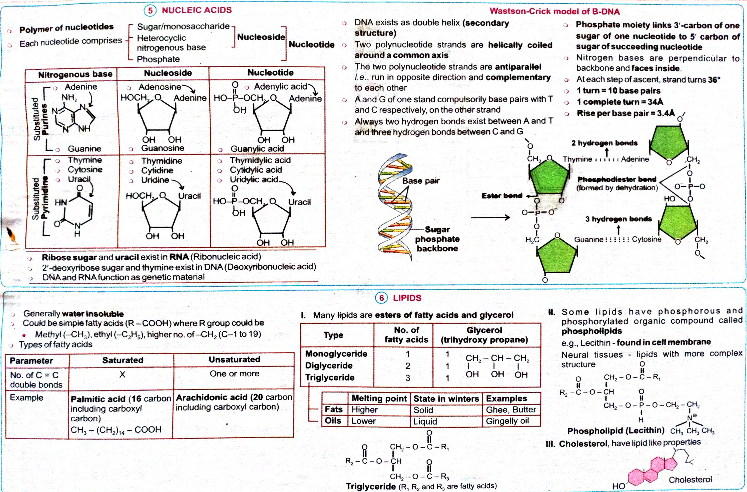 Document 17_3.jpg - Biology - Notes - Teachmint