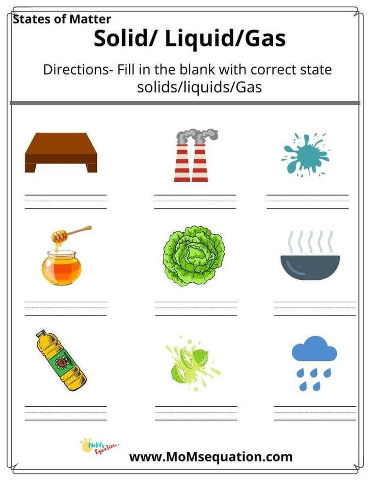 Worksheet - Science - Notes - Teachmint