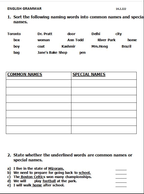 common-names-and-special-names-english-grammar-assignment-teachmint