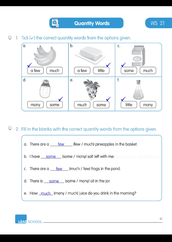 Quantity Words - Elga - Notes - Teachmint
