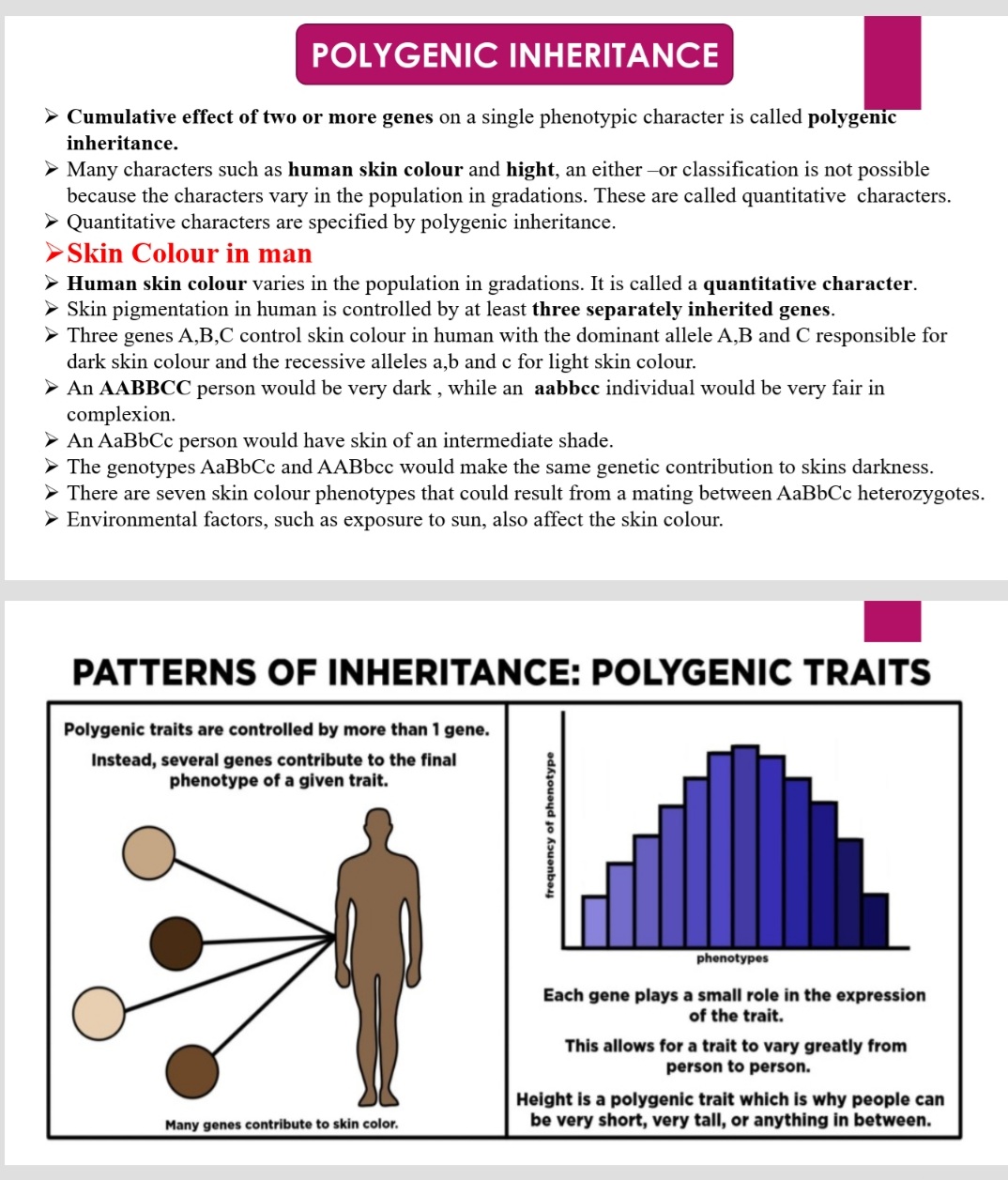 what is polygenetic inheritance