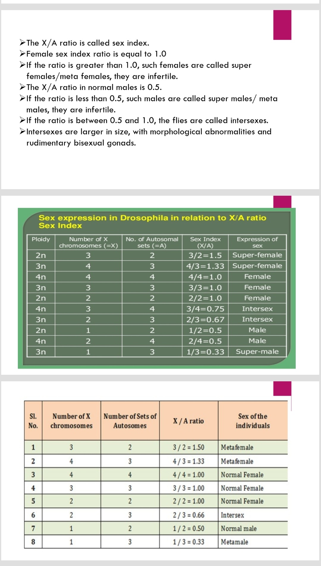 Screenshot Office Life Science Notes Teachmint