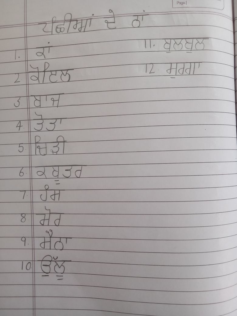 Sub - Punjabi - Hindi - Notes - Teachmint