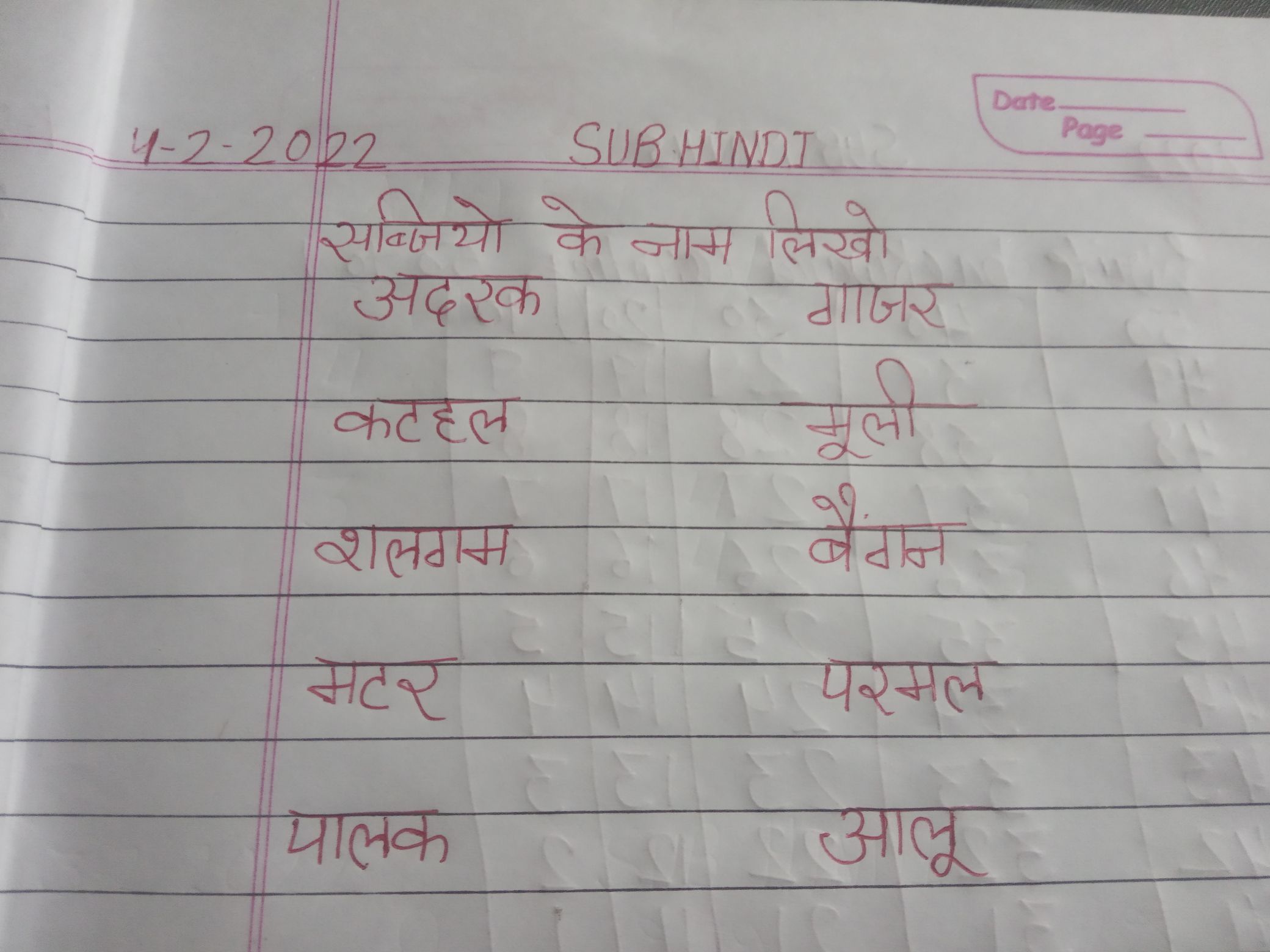 hindi assignment format