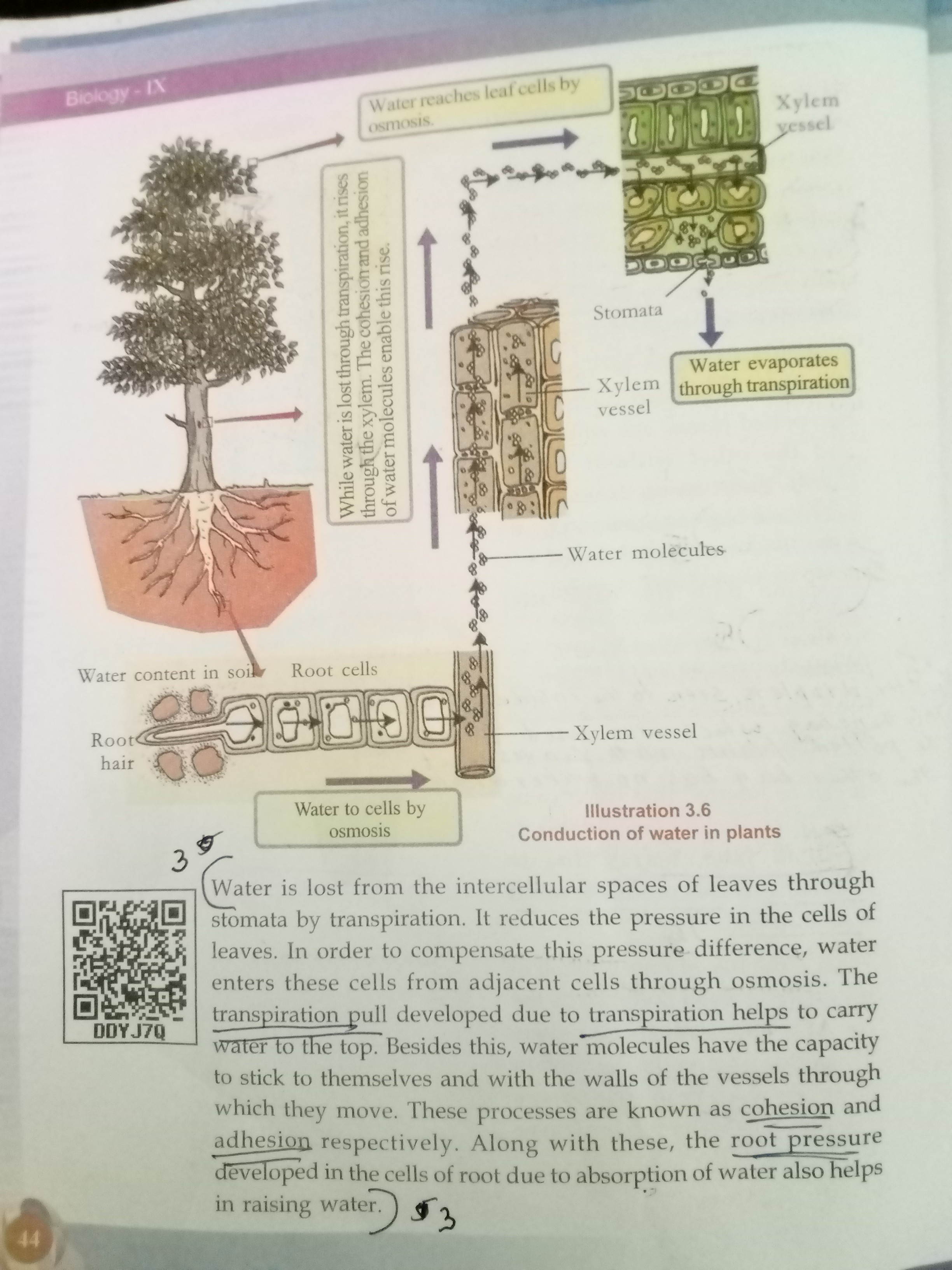 Unit - Biology - Notes - Teachmint