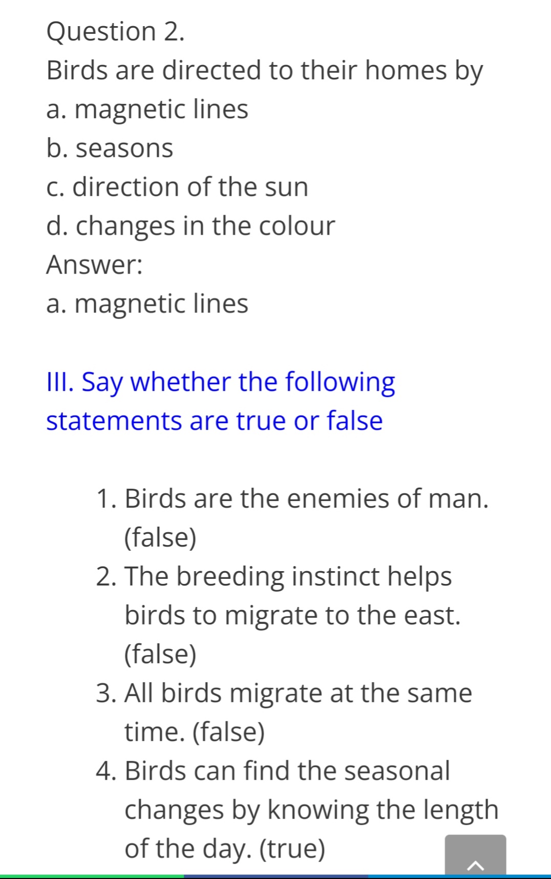 migration of birds essay in english