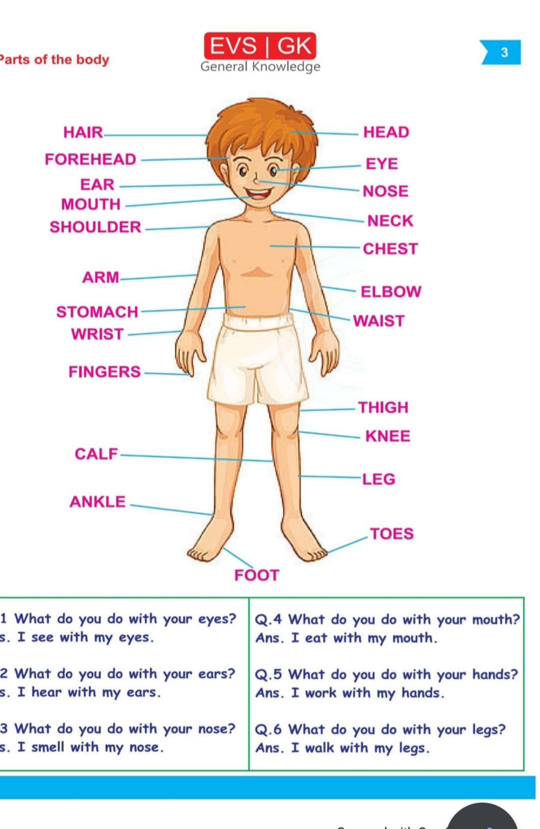 Class 1 EVS  My Body - Explanation 