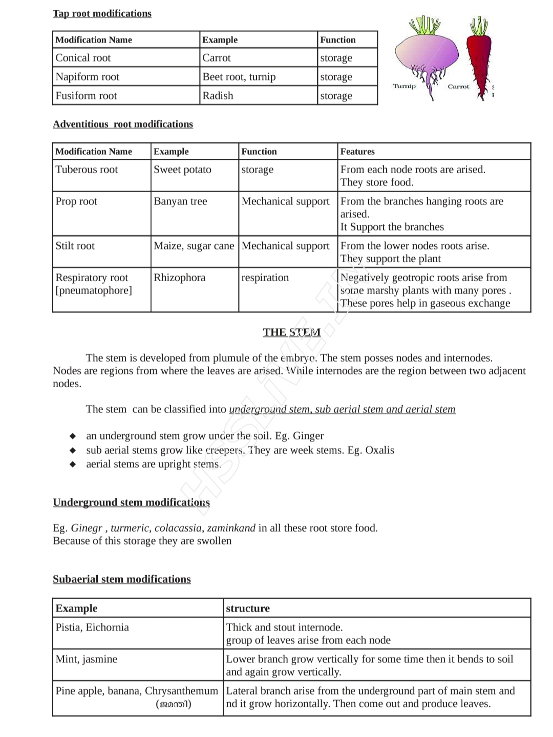 Notes 2 - Biology - Notes - Teachmint