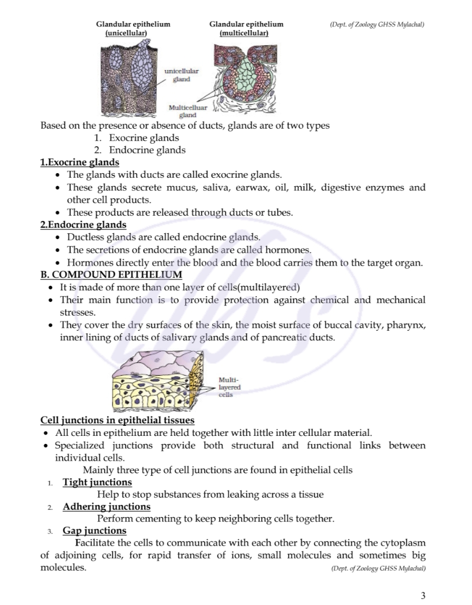 3 - Biology - Notes - Teachmint