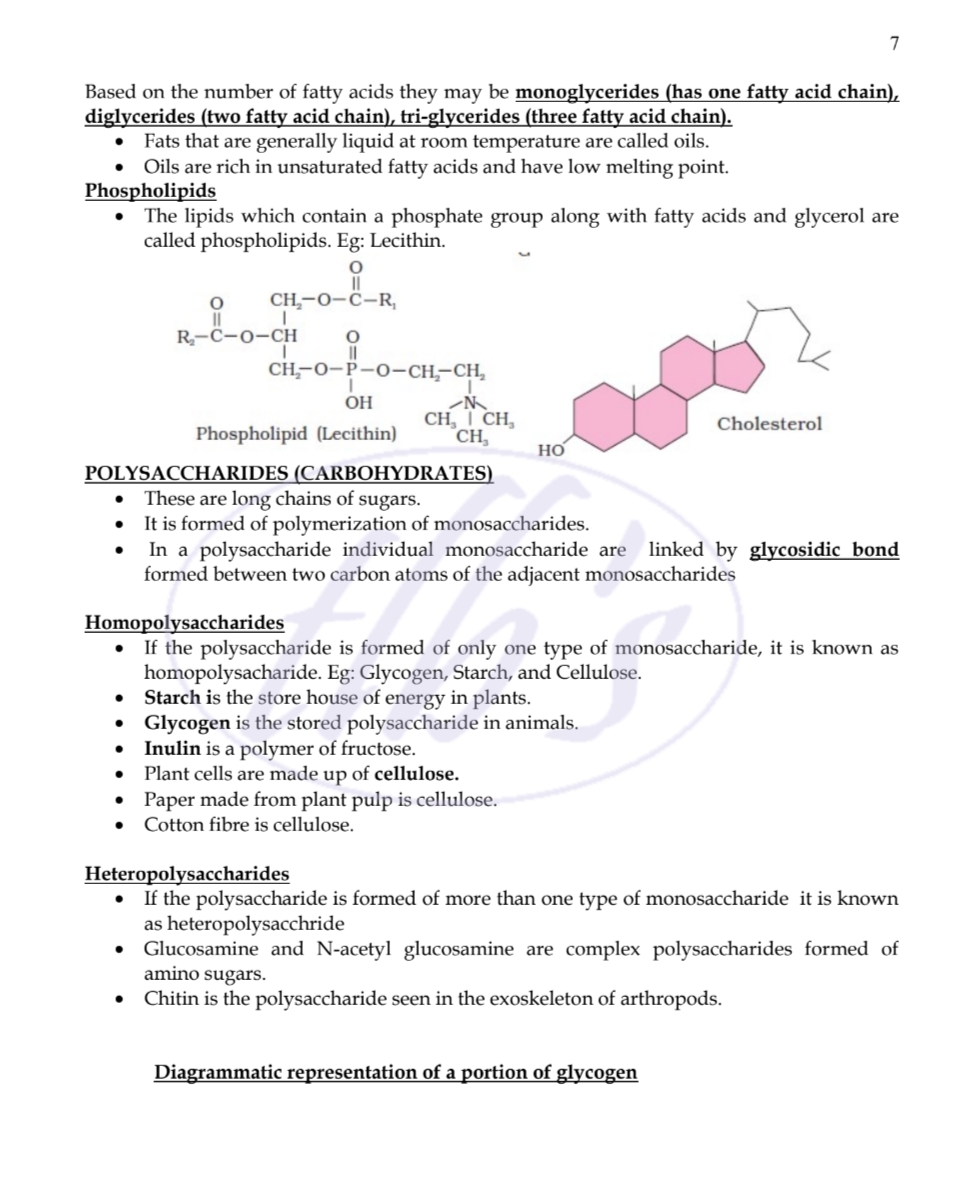 7 - Biology - Notes - Teachmint