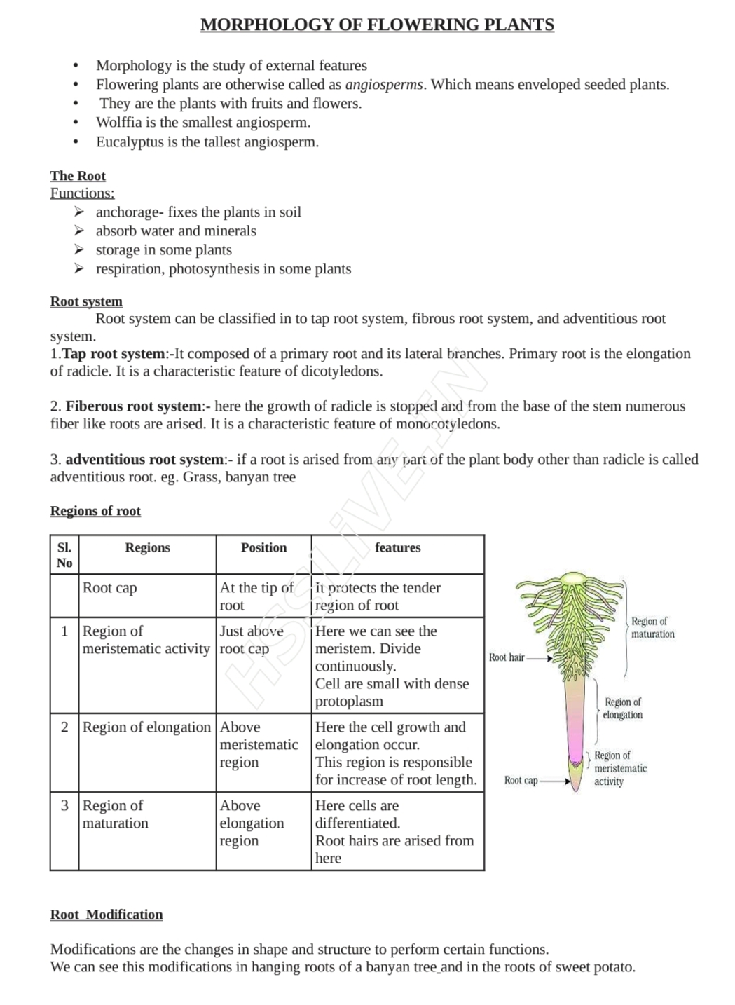 Morphology Of Flowering Plants Notes 1 Biology Notes Teachmint