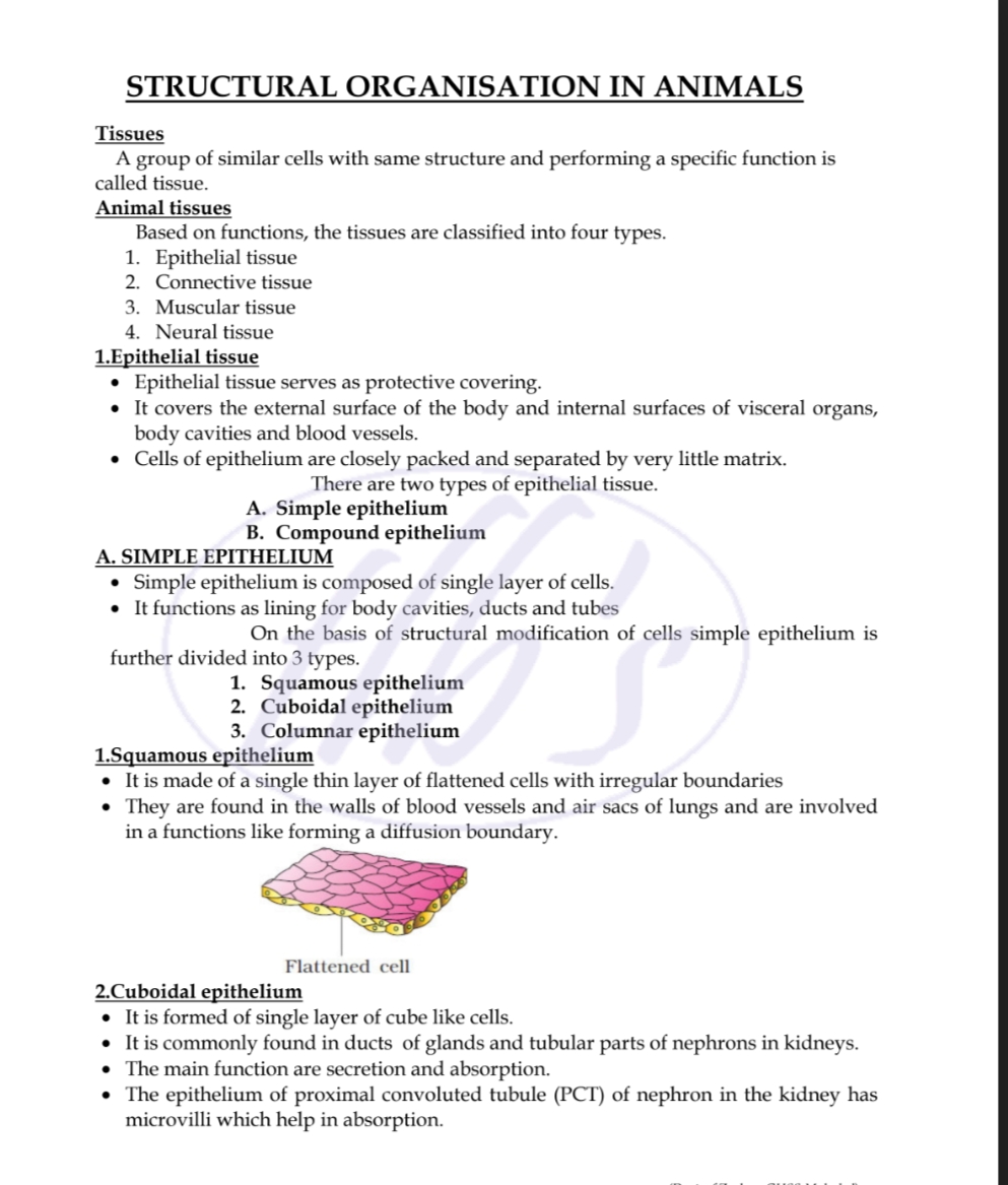 Zoology 1 - Biology - Notes - Teachmint