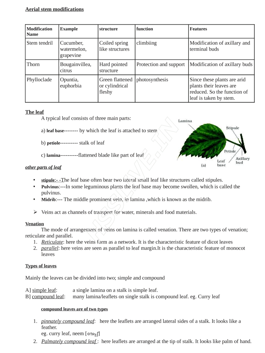 Notes 3 - Biology - Notes - Teachmint