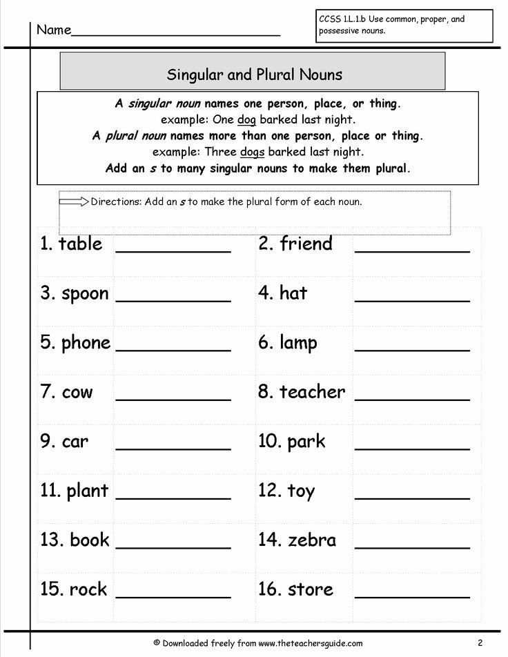 Singular plural English Assignment Teachmint