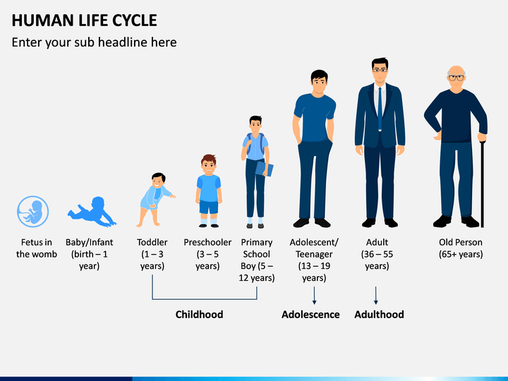 human-life-cycle-content-classconnect